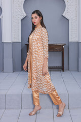 Ready-to-Wear Chiffon Georgette Silk 2-Piece Formal Set | Khaleesi Clothing