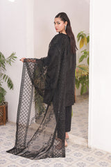 Ready-to-Wear Organza Embroidered 3-Piece Suit | Elegant Formal Wear