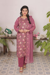 Ready-to-Wear Chiffon Georgette Embroidered 3-Piece Suit | Elegant Wear